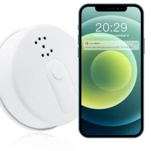 Home security nanny cam in smoke detector